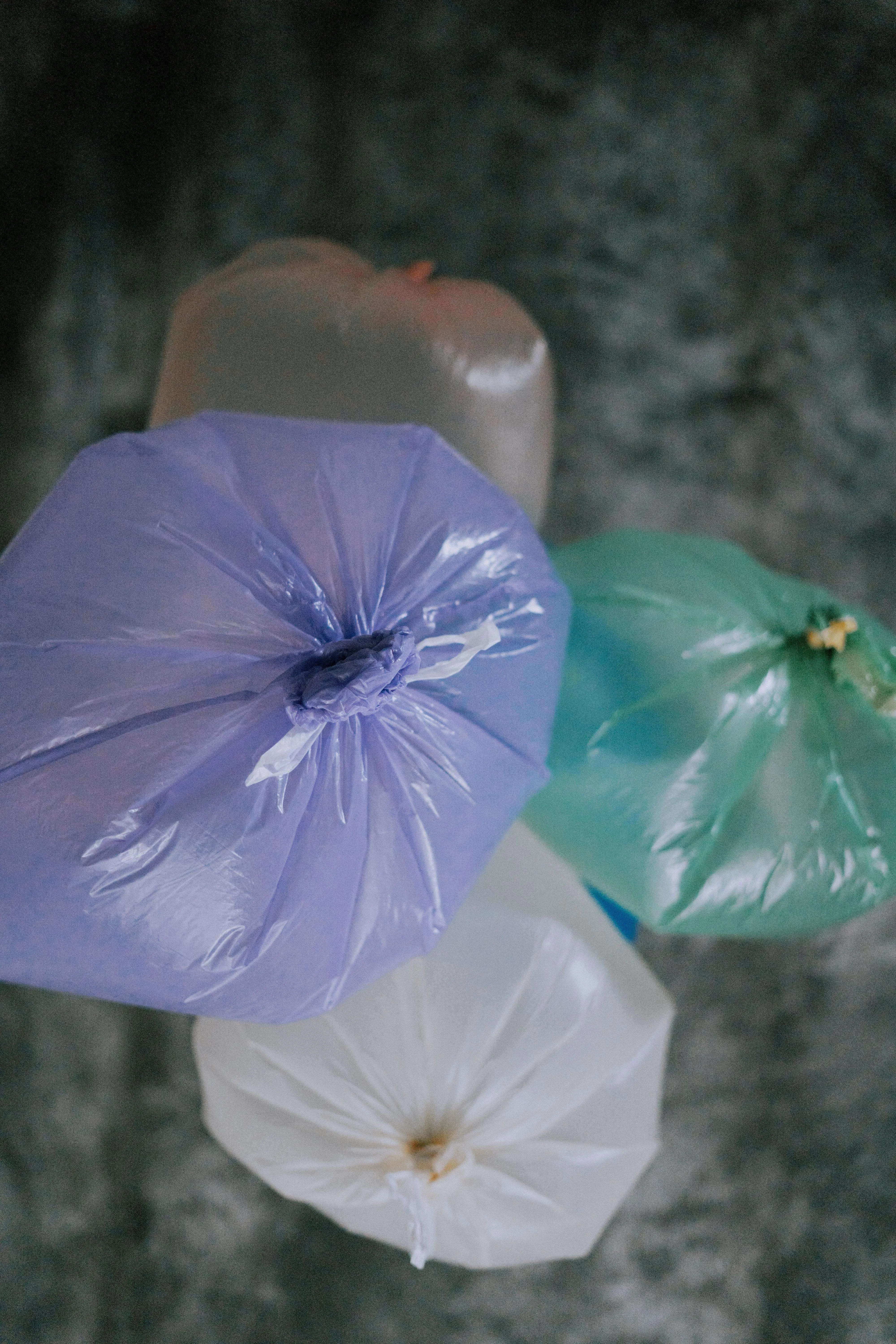 3 different bio degradable coloured poop bags for dogs