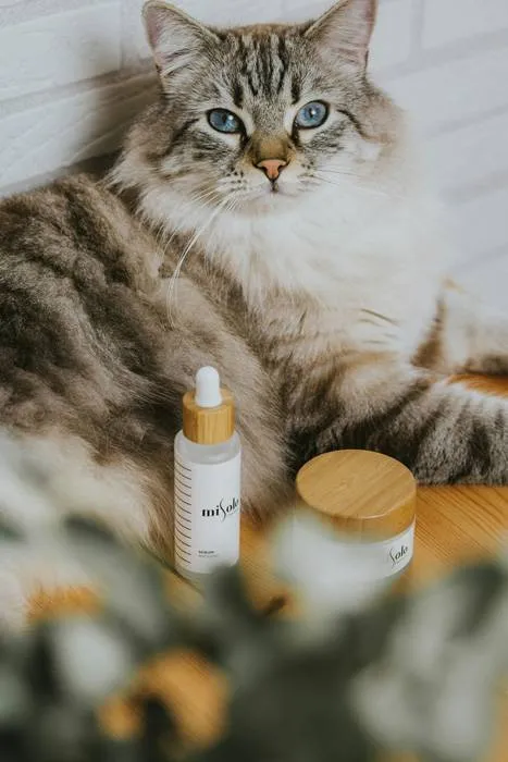 Fluffy cat sitting on a nightstand next to safe grooming products