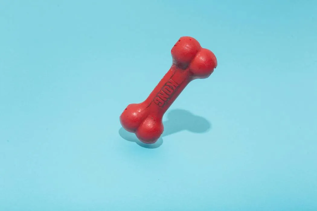 a red pet toy bone in front of a blue background